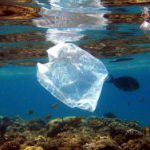 plastic pollution and ocean