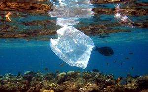plastic pollution and ocean