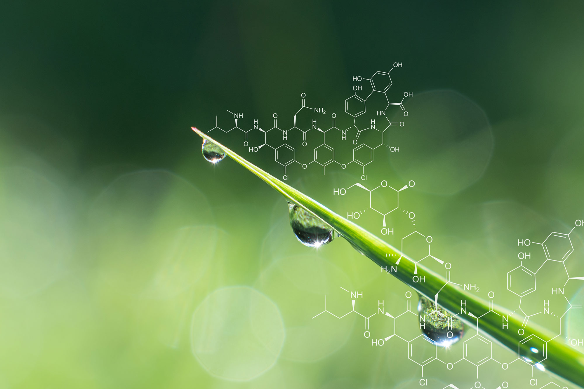 Polymers- a significant branch of chemistry - Avens Blog | Avens Blog
