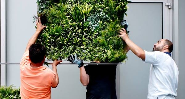 green wall