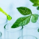 biobased chemical