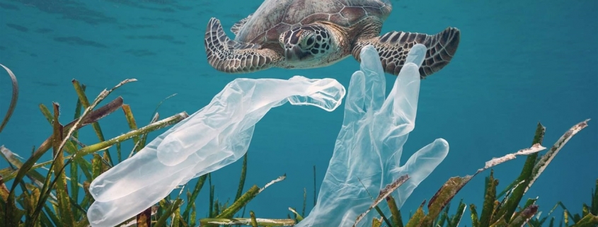 plastic hidden in the Atlantic Ocean