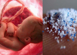 microplastics in human placenta