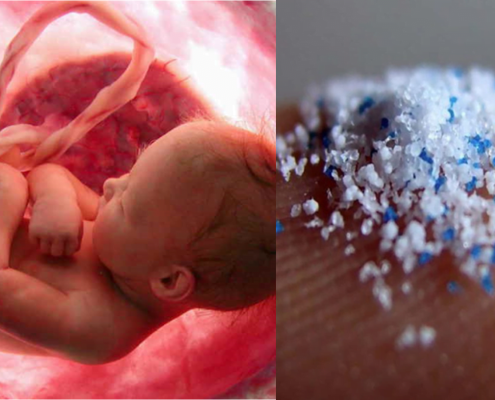 microplastics in human placenta