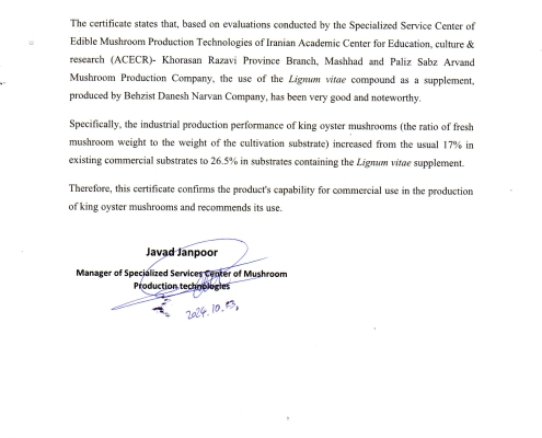 mushroom culture medium