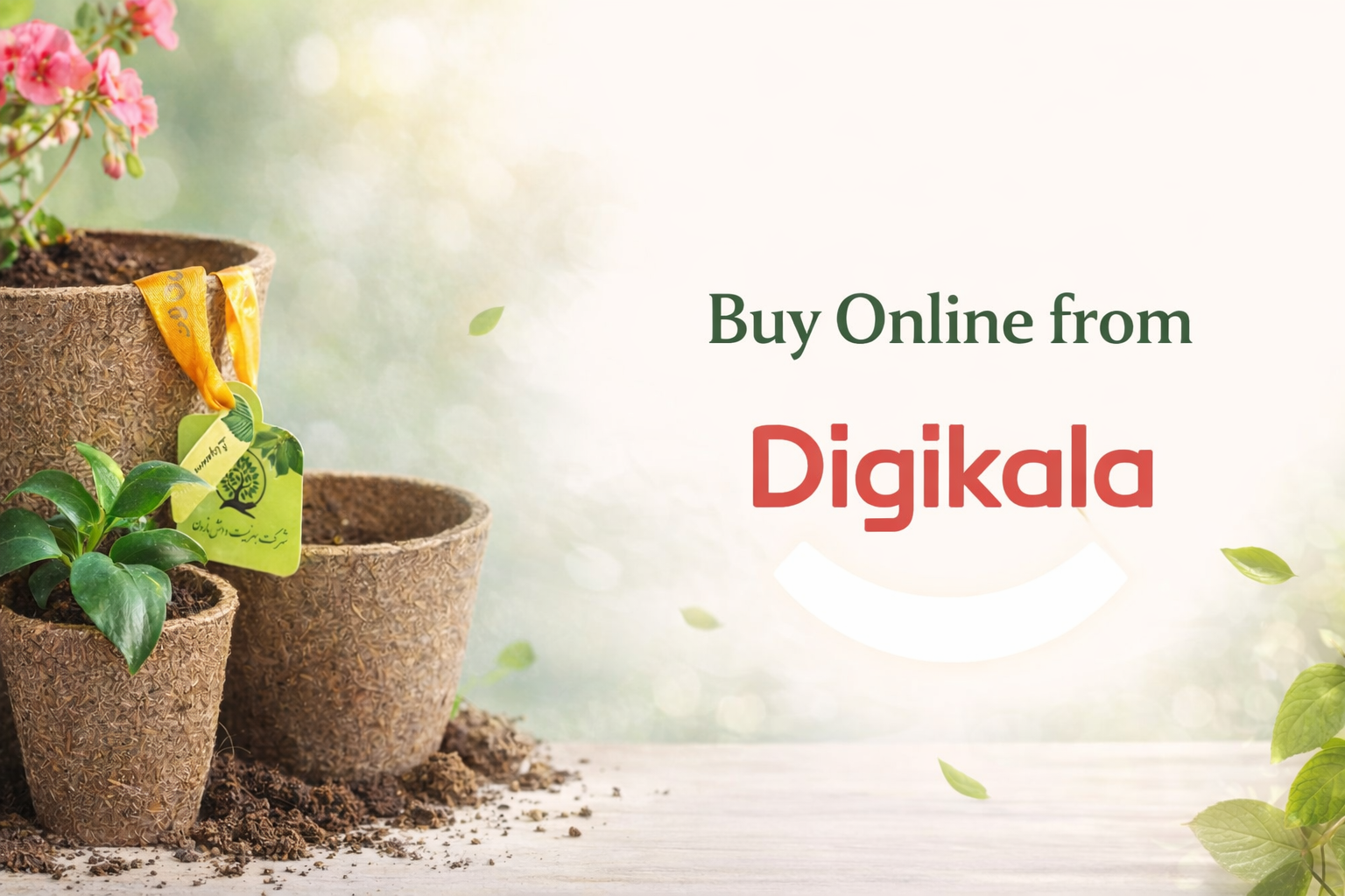 Buy Lignum Vitae Biodegradable Plant Pots Online from Digikala Lignum Vitae biodegradable plant pots, eco-friendly biopot made from plant-based materials, suitable for seedlings and houseplants, buy online from Digikala