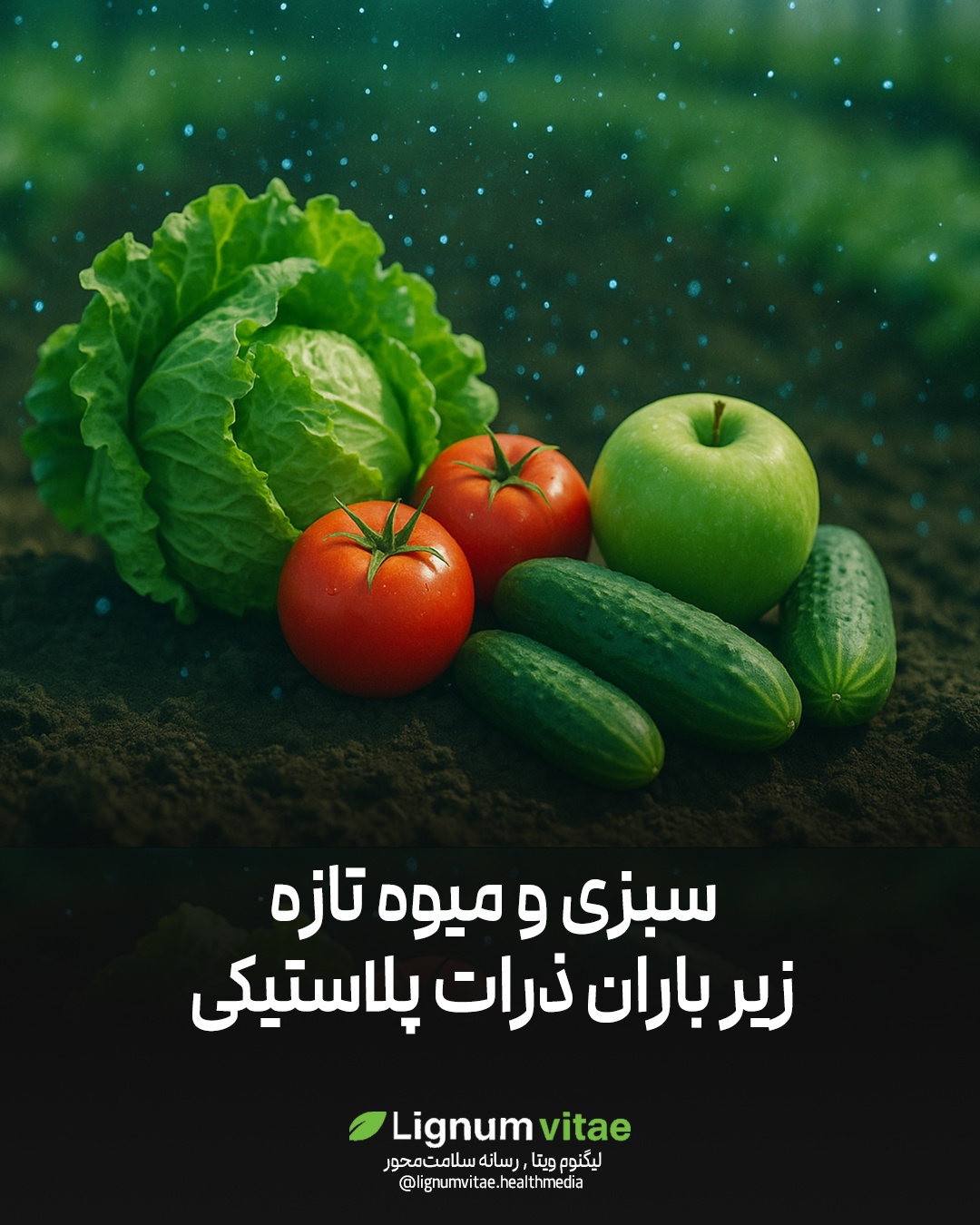 سبزی و میوه تازه؛ زیر باران ذرات پلاستیکی