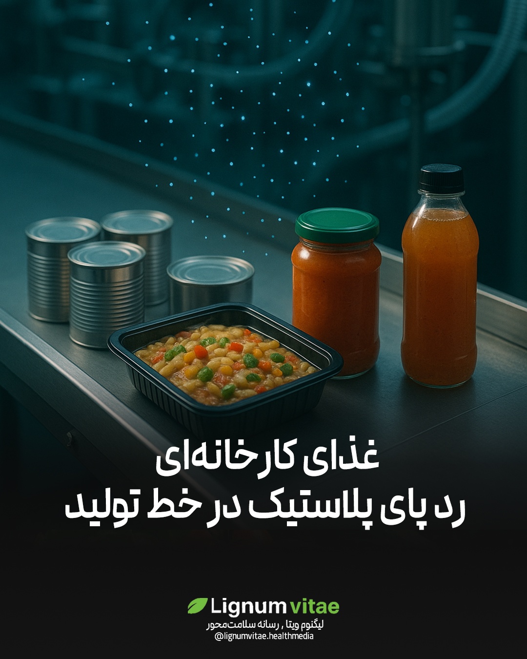 غذای کارخانه‌ای؛ رد پای پلاستیک در خط تولید