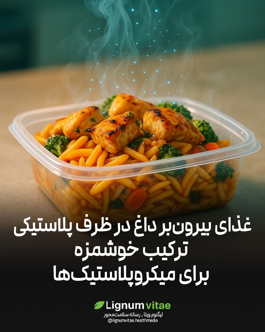 غذای بیرون‌بر داغ در ظرف پلاستیکی؛ ترکیب خوشمزه برای میکروپلاستیک‌ها