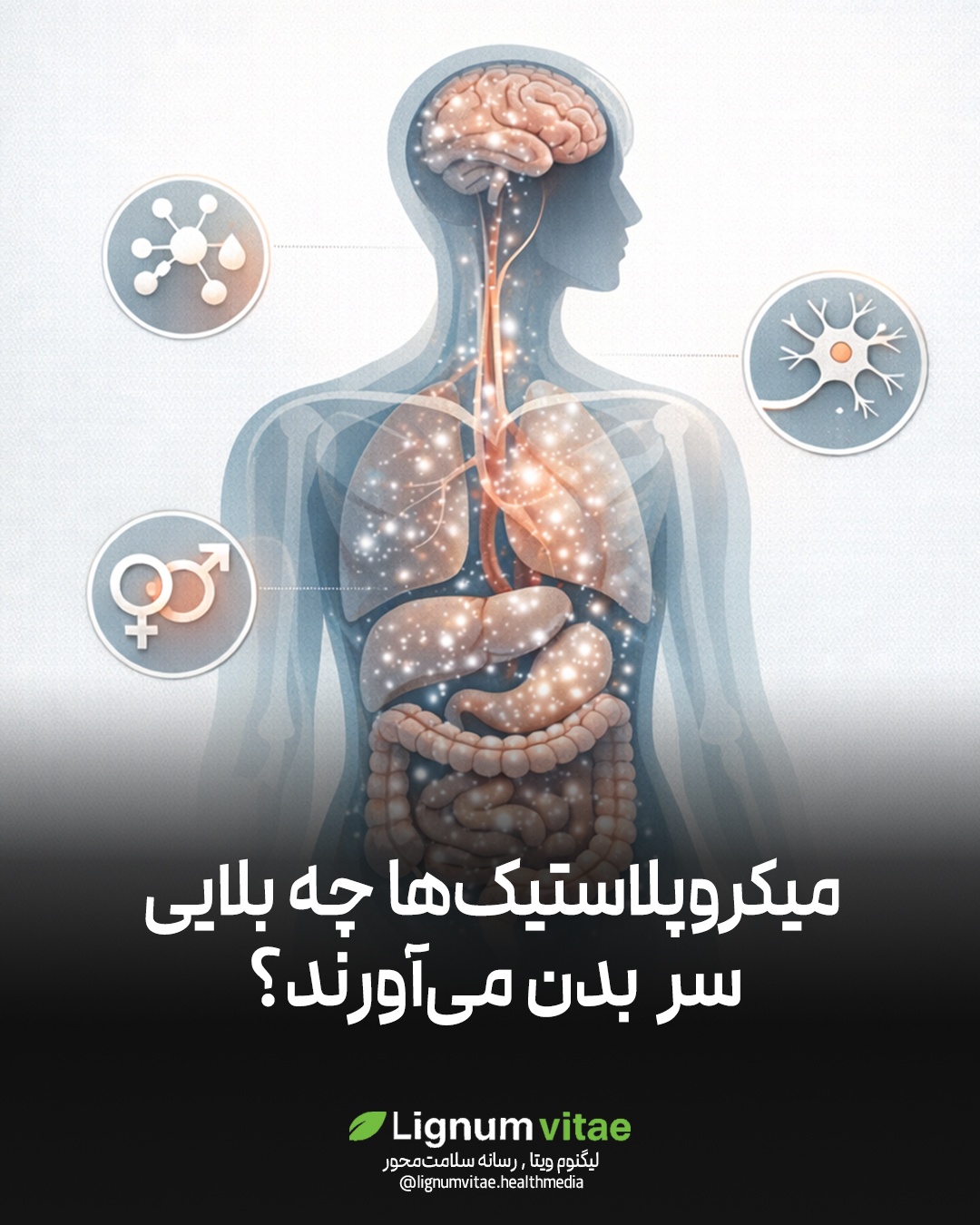 میکروپلاستیک‌ها چه بلایی سر بدن می‌آورند؟