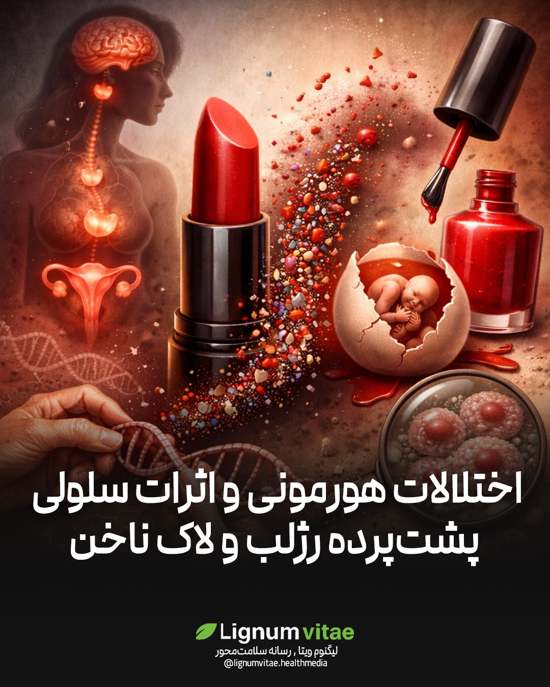 اختلالات هورمونی و اثرات سلولی ، پشت‌پرده رژلب و لاک ناخن