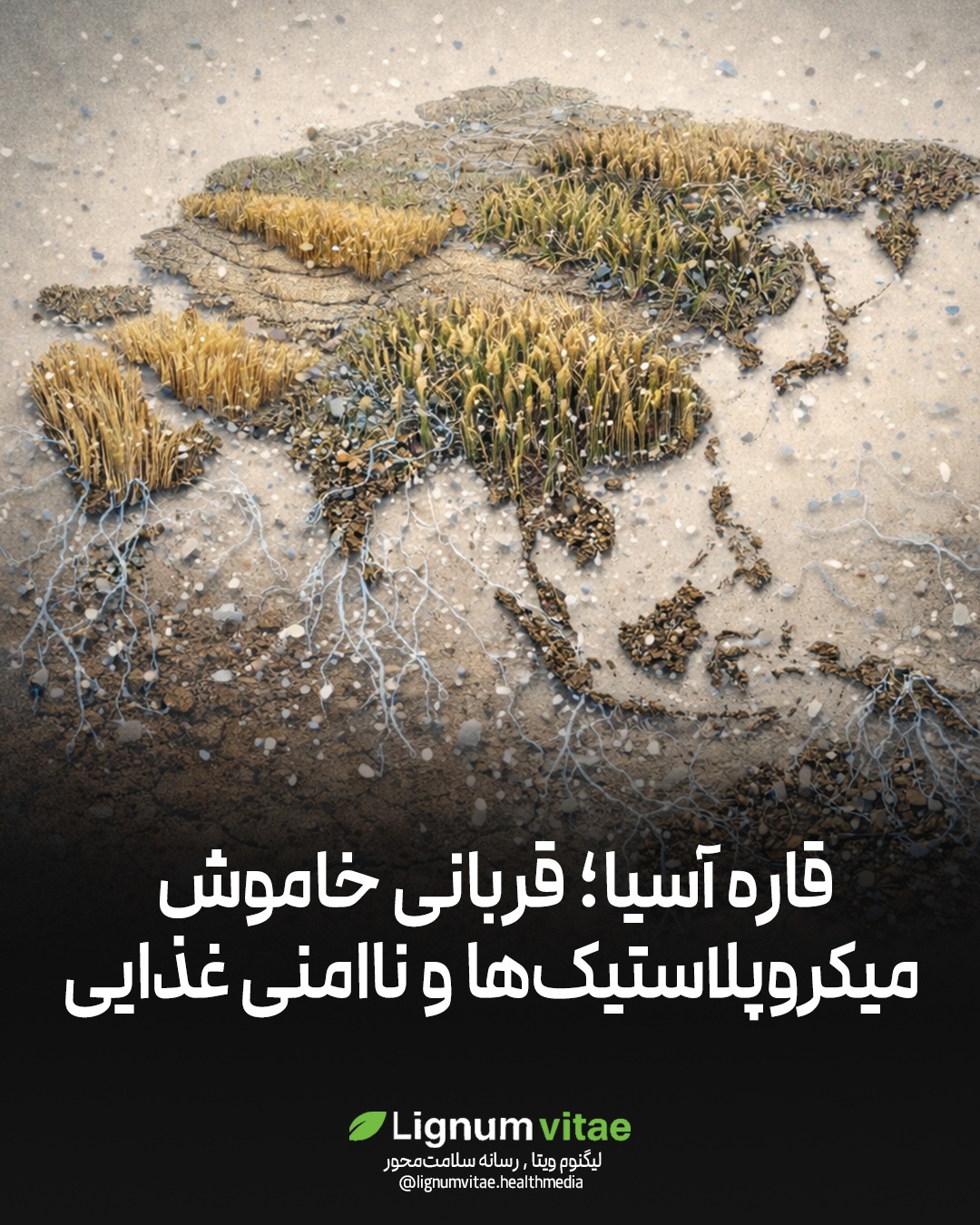 قاره آسیا؛ قربانی خاموش میکروپلاستیک‌ها و ناامنی غذایی